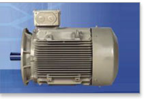 Crane and Hoist Duty Squirrel Cage Induction BBL Motor